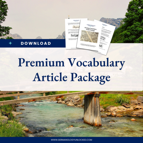 The Premium Vocabulary Article Package