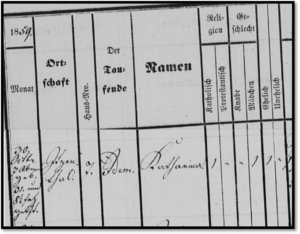Church Record Headings - Explained (Premium) - Germanology Unlocked